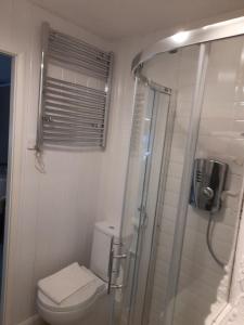 een badkamer met een toilet en een douche bij The Studio in Windermere