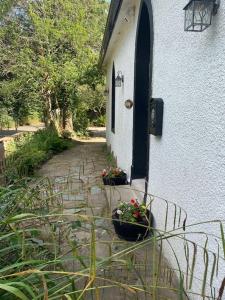 ein Haus mit zwei Topfpflanzen neben einer Tür in der Unterkunft Holly Cottage. Romantic Getaway. Tourist base. in Harker