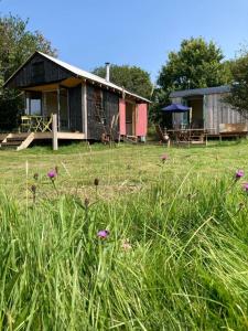 a house in a field with flowers in the grass at Sky View Shepherd's Huts with Woodburning Hot Tub in Redruth