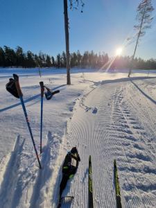 un par de esquís y postes de esquí en la nieve en PO's Stugby en Orsa