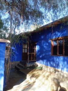 a blue house with a tree in front of it at Piedra Campana alojamiento in Tilcara