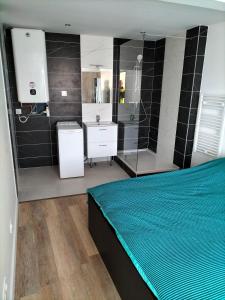ein Bad mit einem Bett, einem Waschbecken und einer Dusche in der Unterkunft Appartement 2 pièces in Rive-de-Gier
