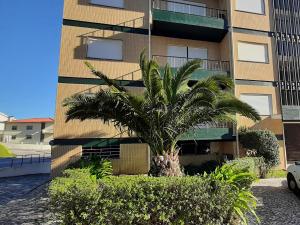 a palm tree in front of a building at Buarcos Beach House in Buarcos