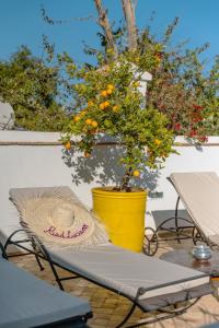 Fotografie z fotogalerie ubytování Riad Luciano Hotel and Spa v Marrákéši