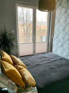 sypialnia z łóżkiem z poduszkami i oknem w obiekcie Apartament Urodzajna w Bielsku Białej