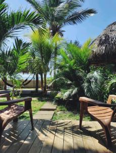 two benches sitting on a patio with palm trees at Alive Beach House in Transito