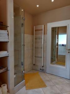 uma casa de banho com um chuveiro e uma cabina de duche em vidro. em The Lovely Garden House em Zagreb