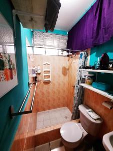 a bathroom with a shower with a toilet and a sink at Cómodo Apartamento privado in Tegucigalpa