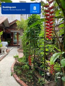 a red flower on a tree in a garden at Noom Guesthouse in Lop Buri