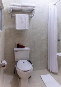阿瓜斯卡連特斯的住宿－Hotel San Antonio，浴室配有白色卫生间和淋浴。