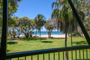 a beach with palm trees and palm trees at NRMA Agnes Water Holiday Park in Agnes Water