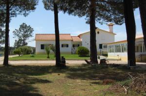 ein Haus mit einer Gruppe von Bäumen davor in der Unterkunft Quinta da Fonte de Grandola in Grândola