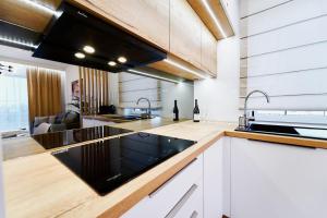 Kuchyň nebo kuchyňský kout v ubytování Apartament HORYZONT "ZŁOTA"