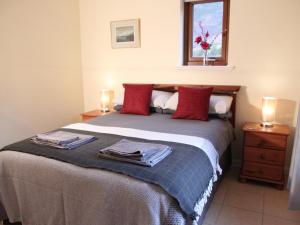 a bedroom with a bed with red pillows and a window at Rocky Mountain View Cottage in Killilan