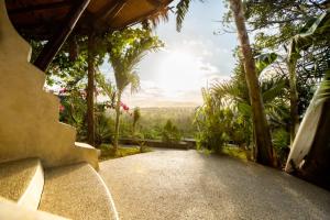 Zahrada ubytování Dome Lombok