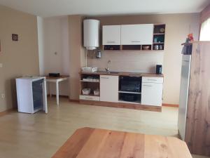 Кухня або міні-кухня у Slovenia Resort apartments & rooms
