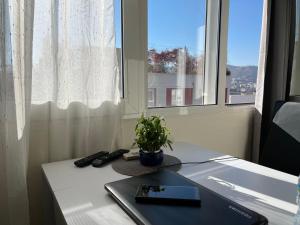 uma secretária com um computador portátil e uma planta em vaso em Lovely one bedroom studio in Tirana em Tirana