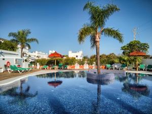 a swimming pool with a palm tree in the middle at Apartamentos Piedramar in Conil de la Frontera
