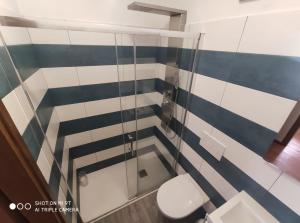 a bathroom with a toilet and blue and white stripes at La Favorita in Lozzo Cadore