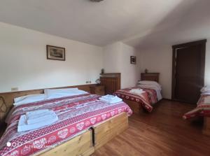 een slaapkamer met 2 bedden in een kamer bij La Favorita in Lozzo Cadore