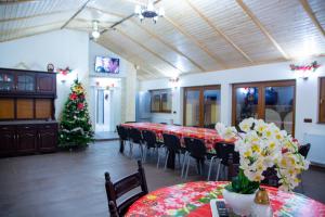 a conference room with a long table and a christmas tree at CASA ALESIA SI ERIC in Jiblea Veche