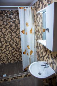 a bathroom with a shower with a sink and a toilet at CASA ALESIA SI ERIC in Jiblea Veche +27 photos