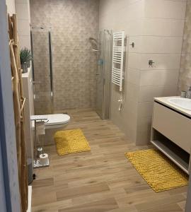 a bathroom with a shower and a sink and a toilet at Blue Peony in Druskininkai