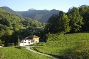 Příroda nedaleko bed and breakfast