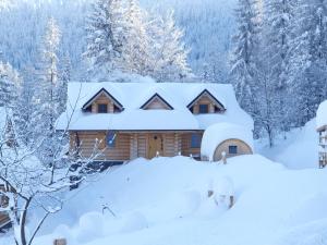 una cabaña de madera en la nieve con árboles en Dom pod Baranią - Wisła - sauna, jacuzzi & widok na góry, en Wisła