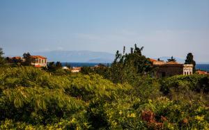 ein Gebäude auf einem Hügel mit Bäumen in der Unterkunft Mansion Argyrakiko - 3 bedroom house in Kampos in Chios
