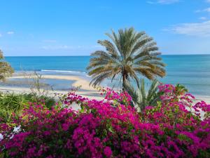 a palm tree and pink flowers on a beach at CafeGourmetPtaCorona in San Carlos