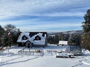 ein schneebedecktes Haus mit einem Gesicht drauf in der Unterkunft LUCE Chata in Nieledwia