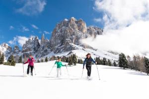 Alpinhotel Vajolet - Adults only v zime