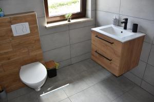a bathroom with a toilet and a sink and a window at Zagroda Wataha 782 305 923 in Polańczyk