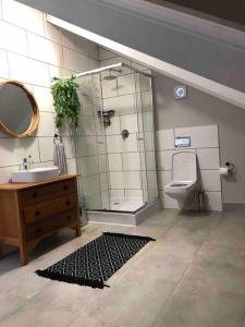 a bathroom with a sink and a toilet and a mirror at Loft on Honey in Sunridge Park