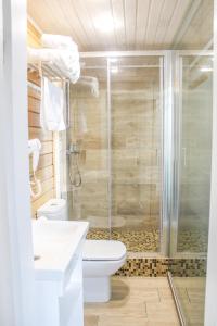 圖爾戈亞克的住宿－ЭТНО-комплекс Тургояк，一间带卫生间和玻璃淋浴间的浴室