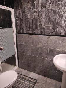 a bathroom with a shower and a toilet and a sink at All Seasons Guesthouse in Douglas