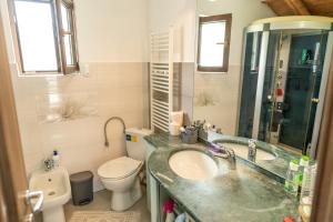 a bathroom with a sink and a toilet at Cabana Rustic in Borşa +53 photos