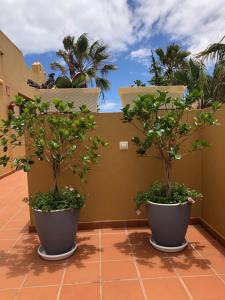 Zdjęcie z galerii obiektu Casa Molly w Corralejo