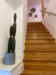 una escalera con un cactus sentado al lado de una escalera en Seixal Old Town River View Apartment en Seixal