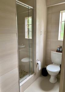 ein Bad mit einem WC und einer Glasdusche in der Unterkunft ALL SAINTS ON ROBERTS in Pietermaritzburg