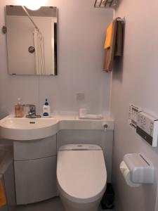 a bathroom with a toilet and a sink and a mirror at Hatoya Hotel in Tokyo