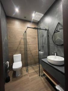 a bathroom with a toilet and a sink and a shower at Garden plaza in Neresnytsya