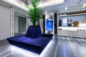 HOTEL 粋 في فوكوياما: غرفة بها أريكة أرجوانية وبها نبات