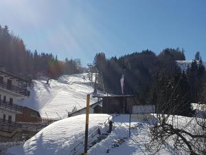 Appartamenti Bice Abetone 1 v zime