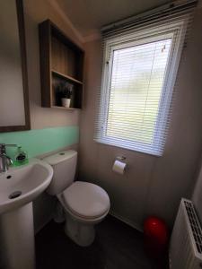 a bathroom with a toilet and a sink and a window at 5 Geranium, Holiday Home in Oakdene Forest Park in Ferndown