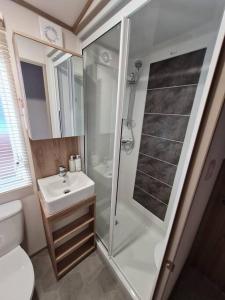 a bathroom with a shower and a sink and a toilet at Robin Hood's Retreat in Robin Hood's Bay