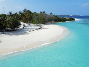 uma vista aérea de uma praia com palmeiras e do oceano em Nihaali Maldives em Kudarikilu