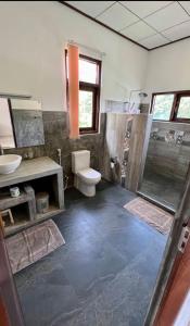 a bathroom with a toilet and a sink and a shower at Goddess Garden Sigiriya in Sigiriya