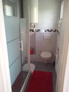 a bathroom with a toilet and a red rug at Magicappart in Magny-le-Hongre